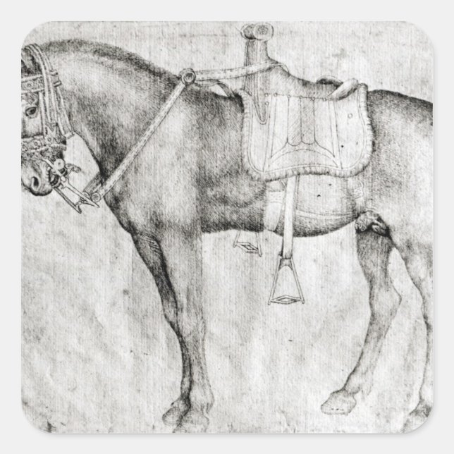 Pegatina Cuadrada Mule, del álbum Vallardi (Anverso)