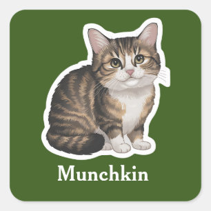 Pegatina Cuadrada Munchkin