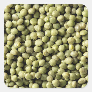 Pegatina Cuadrada Mung Beans