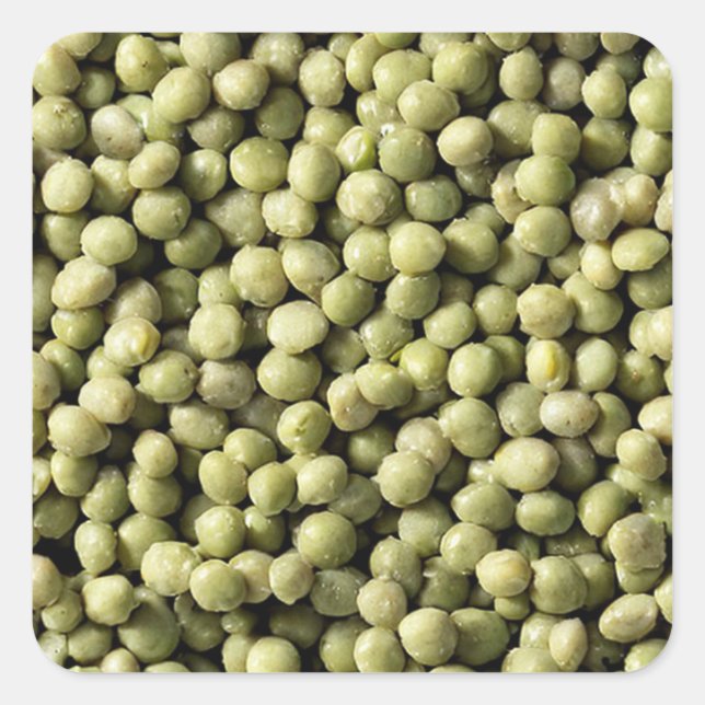 Pegatina Cuadrada Mung Beans (Anverso)