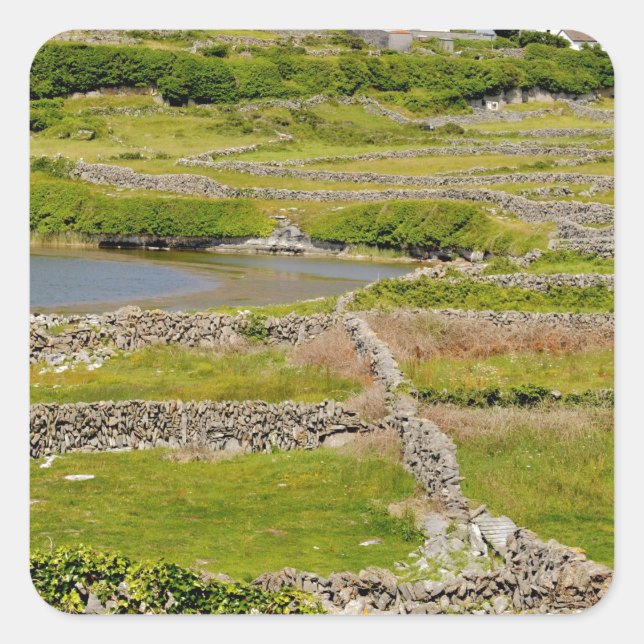 Pegatina Cuadrada Muros de piedra de Irlanda (Anverso)