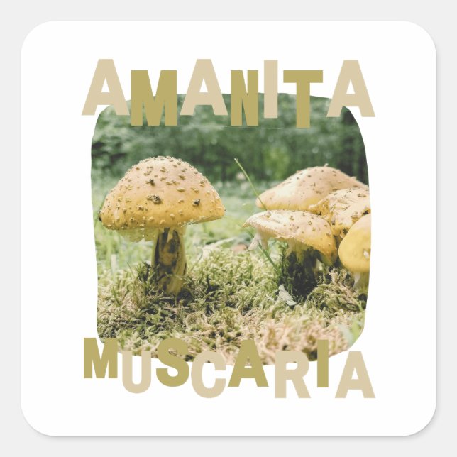 Pegatina Cuadrada Mushroom lover, amanita muscaria, nature (Anverso)