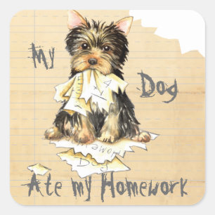 Pegatina Cuadrada My Yorkie Ate my Homework