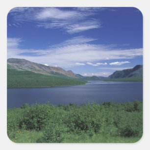 Pegatina Cuadrada N.A., Canadá, Terranova, Grose Morne Trout