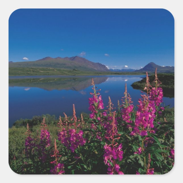 Pegatina Cuadrada N.A., EE. UU., Alaska, Alaska Range Común (Anverso)