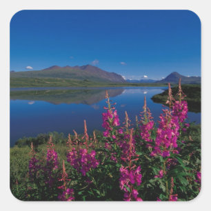 Pegatina Cuadrada N.A., EE.UU., Alaska, Alaska Rango común