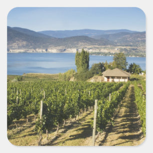 Pegatina Cuadrada NA; Canadá; Columbia Británica; Valle de Okanagan;