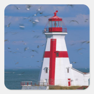 Pegatina Cuadrada NA, Canadá, Nuevo Brunswick, Isla Campobello. 8