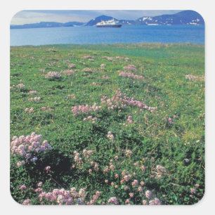 Pegatina Cuadrada NA, EE. UU., Alaska, Isla Aleutiana, Escénico con