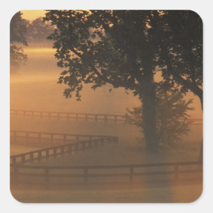 Pegatina Cuadrada NA, EE. UU., Kentucky. Amanecer brumoso en Kentuck
