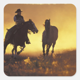Pegatina Cuadrada NA, EE. UU., Oregón, Seneca, Ponderosa Ranch, Vaqu