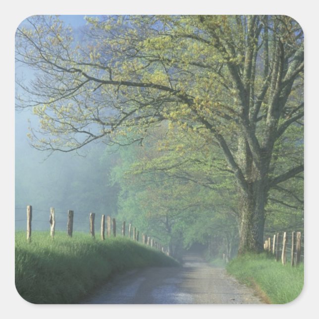 Pegatina Cuadrada NA, EE.UU., Tennessee, Cades Cove, Great Smoky (Anverso)
