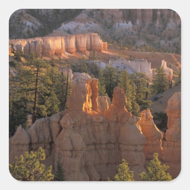 Pegatina Cuadrada NA, EE. UU., Utah, Parque Nacional Bryce Canyon 2 (Anverso)