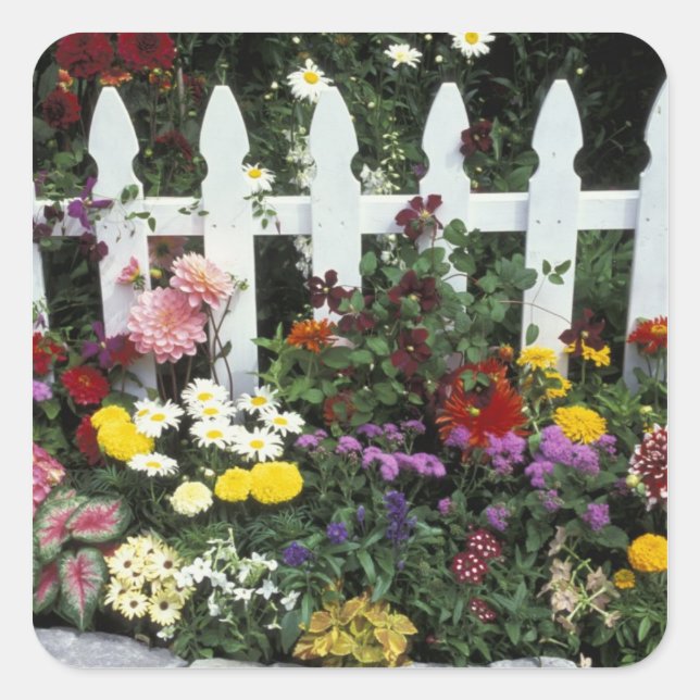 Pegatina Cuadrada NA, EE.UU., Washington, Sammamish, piquete blanco (Anverso)