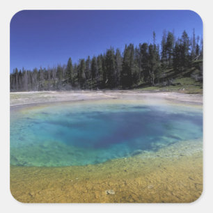 Pegatina Cuadrada NA, EE. UU., Wyoming, Parque Nacional Yellowstone.