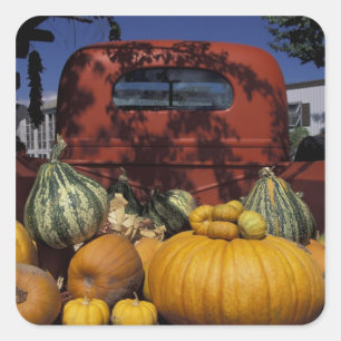 Pegatina Cuadrada NA, EEUU, Nuevo México, Taos. La posición de Chile