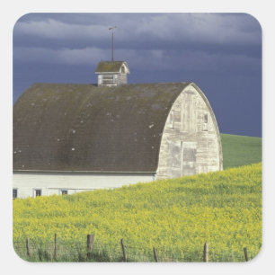 Pegatina Cuadrada NA, los E.E.U.U., Idaho, al sur de Genesse, campo