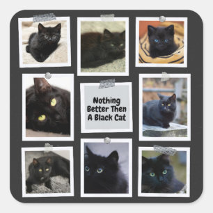 Pegatina Cuadrada Nada Mejor Que Un Gato Negro