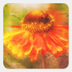 Pegatina Cuadrada Naranja Amarillo Zinnia Flor Art