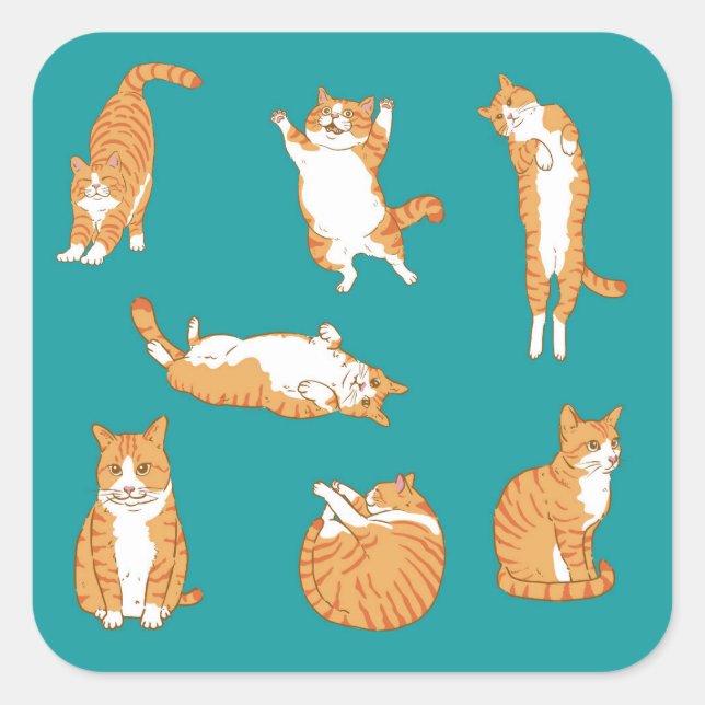 Pegatina Cuadrada Naranja Cats Funny (Anverso)