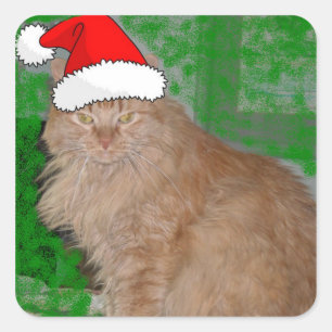 Pegatina Cuadrada Naranja de navidades Tabby Kitten