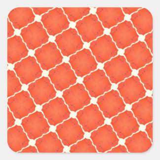Pegatina Cuadrada Naranja Pesca Neto Mosaico Tile Grid Patrones Rega