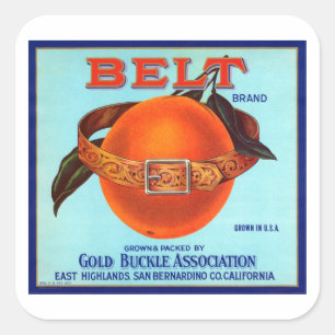 Pegatina Cuadrada Naranjas de Belt Brand California
