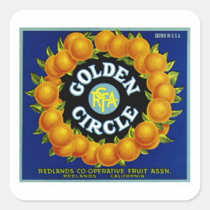 Pegatina Cuadrada Naranjas de oro del círculo