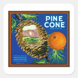 Pegatina Cuadrada Naranjas de Pine Cone