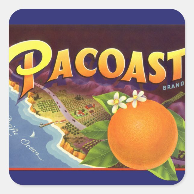 Pegatina Cuadrada Naranjas Pacoast (Anverso)