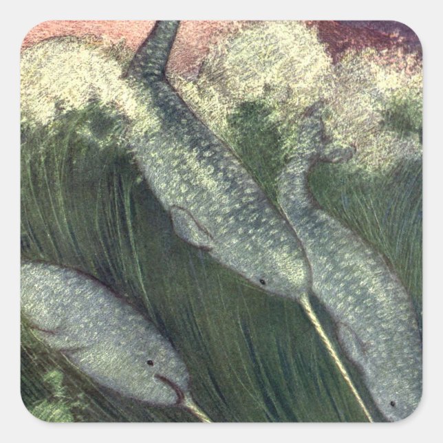 Pegatina Cuadrada Narballenas de época, ballenas de la vida marina,  (Anverso)