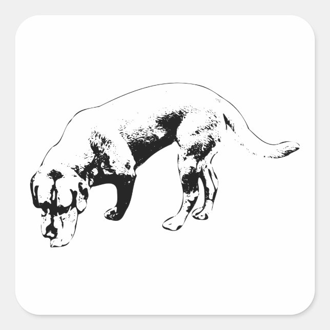 Pegatina Cuadrada Nariz constante a tierra (Anverso)