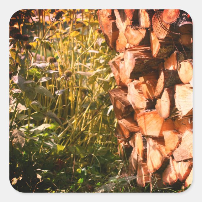 Pegatina Cuadrada Naturaleza apilada de leña  (Anverso)