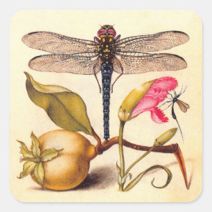 Pegatina Cuadrada Naturaleza Botánica Libélula Arte Hoefnagel