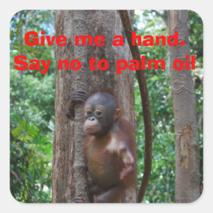 Pegatina Cuadrada Naturaleza de la protección