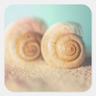 Pegatina Cuadrada Nautilus Shells On Beach