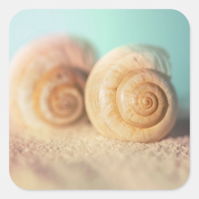 Pegatina Cuadrada Nautilus Shells On Beach (Anverso)
