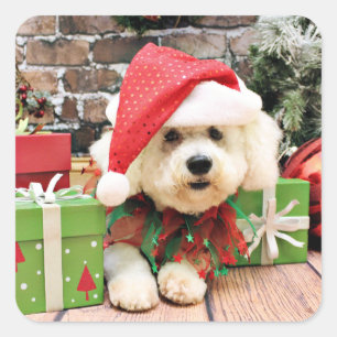 Pegatina Cuadrada Navidad - Bichon Frise - margarita