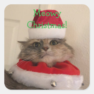 Pegatina Cuadrada Navidad gatuna