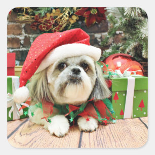 Pegatina Cuadrada Navidad - Shih Tzu - trasto