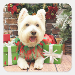 Pegatina Cuadrada Navidad - Westie - afortunado