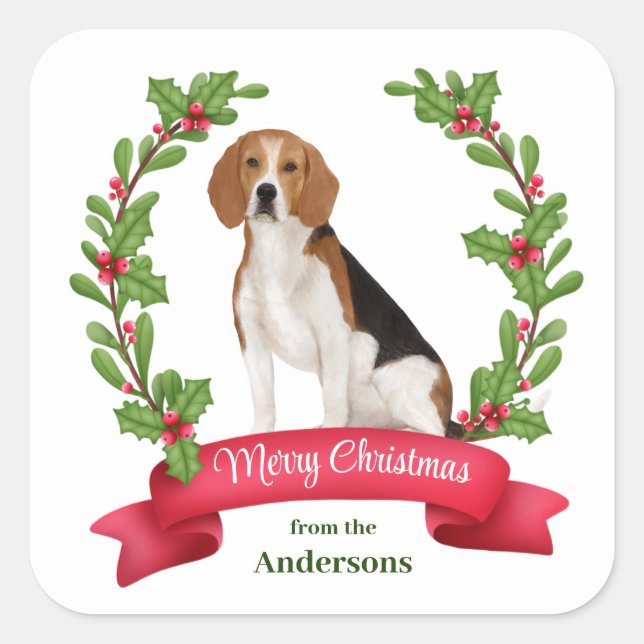 Pegatina Cuadrada Navidades Beagle de Red Berry Holly (Anverso)
