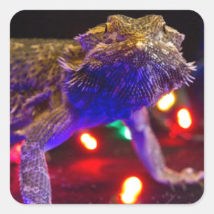 Pegatina Cuadrada Navidades Beardie