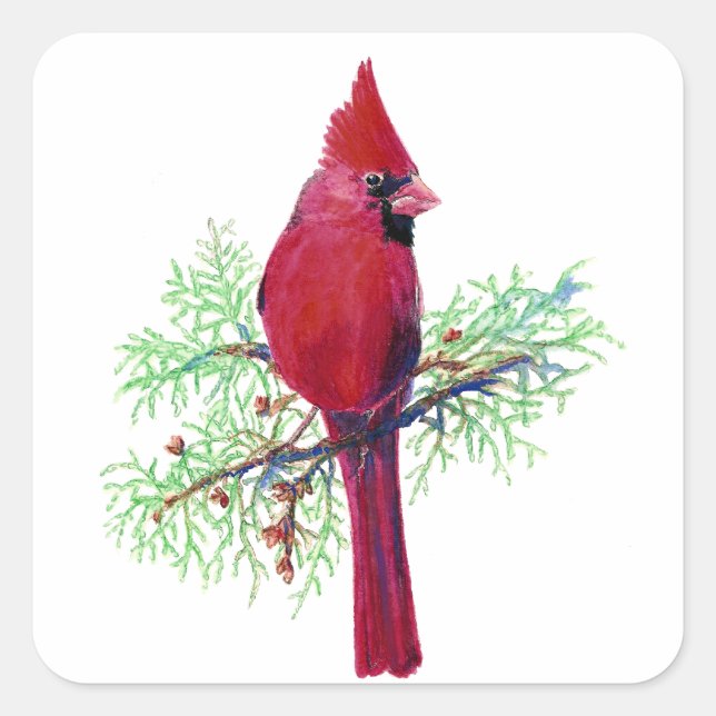 Pegatina Cuadrada Navidades de acuarela Cardenal de pájaro rojo (Anverso)