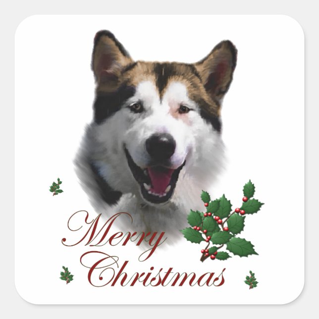 Pegatina Cuadrada Navidades de Alaskan Malamute (Anverso)