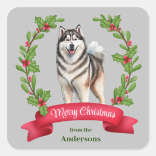 Pegatina Cuadrada Navidades de Banner de Alaskan Malamute Dog Holly