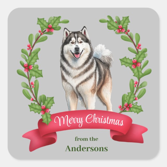 Pegatina Cuadrada Navidades de Banner de Alaskan Malamute Dog Holly (Anverso)