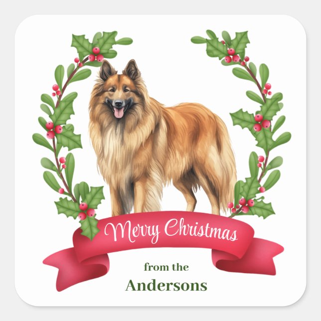 Pegatina Cuadrada Navidades de Banner de Tervuren Dog Holly en Bélgi (Anverso)