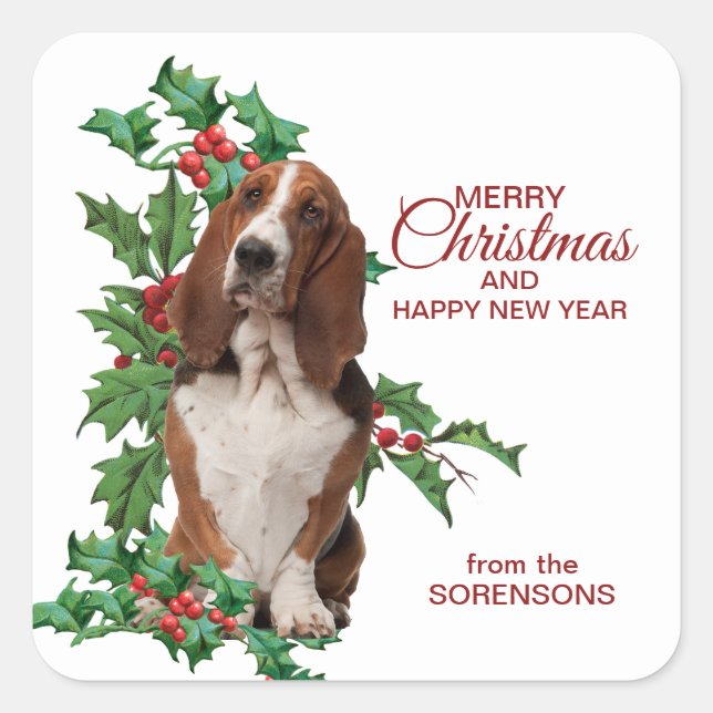 Pegatina Cuadrada Navidades de Basset Hound Red Berry Holly (Anverso)