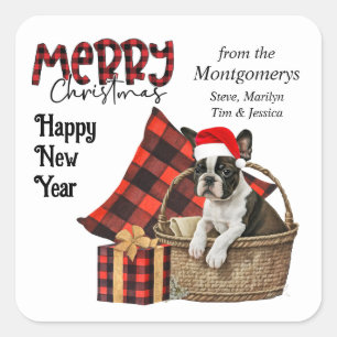 Pegatina Cuadrada Navidades de búfalos colocados en Boston Terrier D